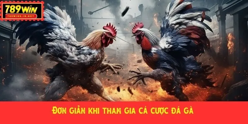 Đơn giản khi tham gia cá cược đá gà